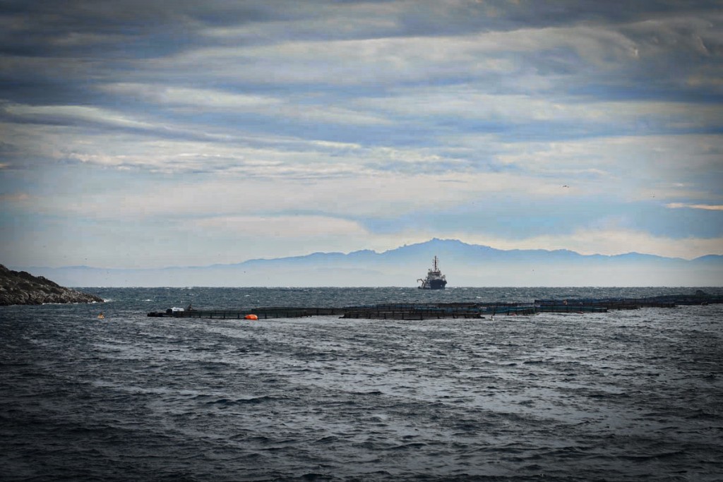 MOAS-RESPONDER-SEA_